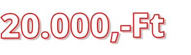 20.000,-Ft
